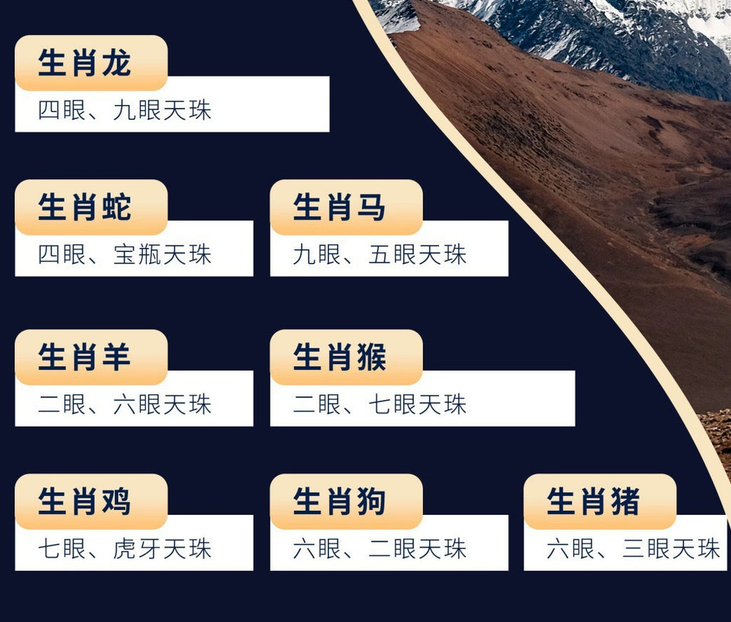 d98ca9d5-5909-4bdd-a617-6805e2805005